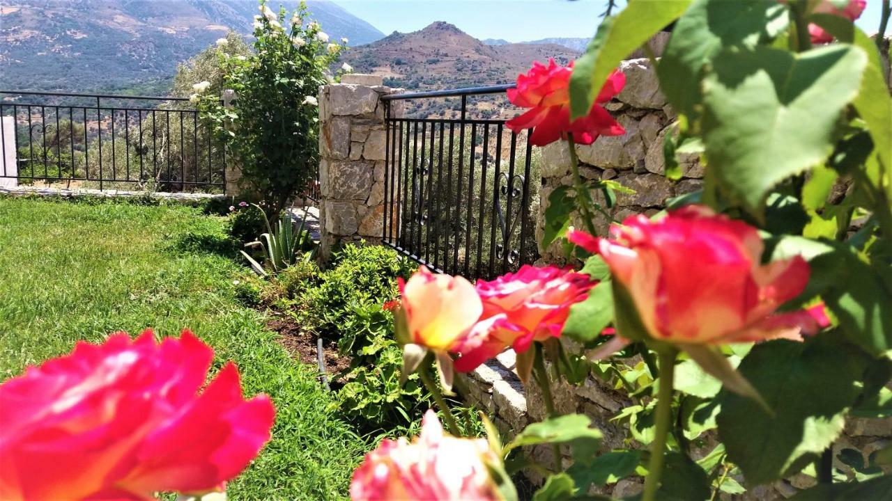 Petrochori Aparthotel Dış mekan fotoğraf